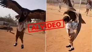 Is 'Eagle Grabbing Schoolboy' Video Real or Fake? Viral Reel Showing Eagle Attacking Child Is AI-Generated, Reveals Fact Check