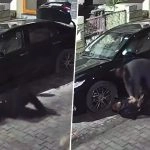 Hapur: Man Collapses on Ground After Suffering Heart Attack in Uttar Pradesh, Fellow Businessman Saves His Life by Giving CPR; Video Surfaces