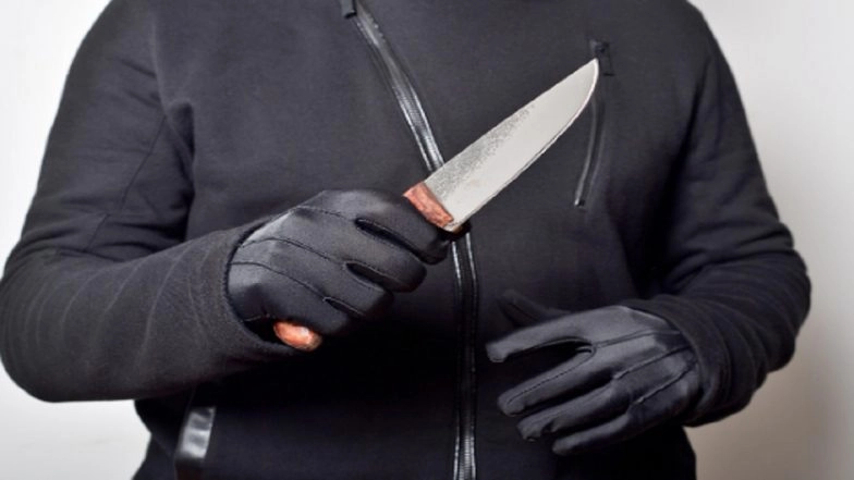 Ludhiana: Woman Working at Money Transfer Office in Punjab Overpowers Knife-Wielding Robber, Forces Him To Flee; Video Surfaces