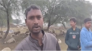 Lucknow: Over 150 Sheep Die, Multiple Critically Ill After Eating Leftover Food Near Rashtriya Prerna Sthal (Watch Videos)