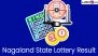 Nagaland Dear Lottery Sambad Result Today 1 PM Live: Dear Vision Saturday Lottery Result of January 17 2026 Declared Online, Watch Lucky Draw Winners List