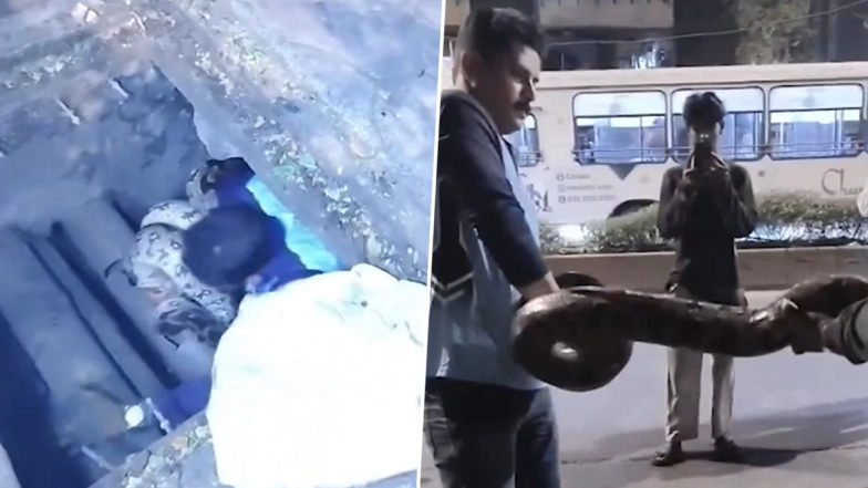 Snake Rescue in Mumbai: Police Constable Sachin More Rescues 9-Foot-Long Python in Dharavi After Reptile Found During Wire Repair Work Inside Internet Duct, Video Goes Viral