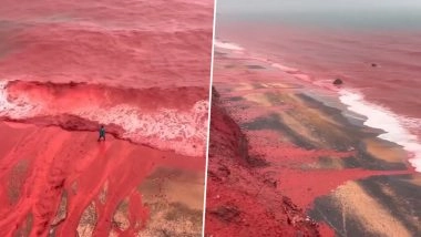 Know Why Rainfall Turns Hormuz Island's Red Beach Seawater Blood-Red in Iran