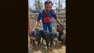 Dog Attack in Karnataka: Woman Dies After Being Brutally Attacked by 2 Rottweilers in Davanagere; Owner of Dogs Arrested