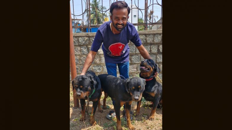 Dog Attack in Karnataka: Woman Dies After Being Brutally Attacked by 2 Rottweilers in Davanagere; Owner of Dogs Arrested