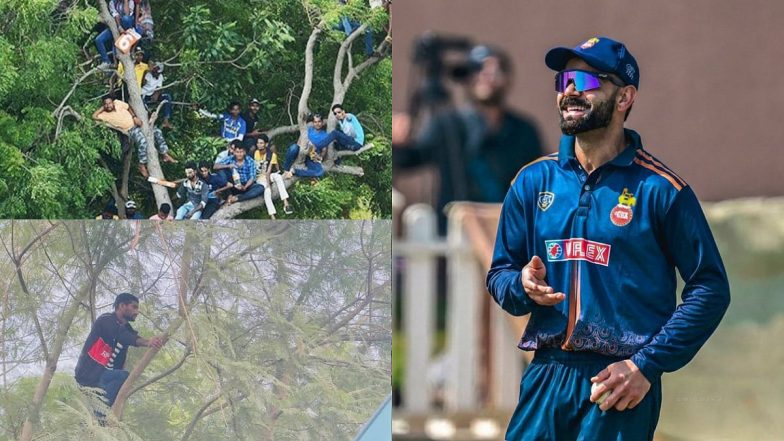 Fans Climb Trees to Watch Virat Kohli's Batting During Andhra vs Delhi Vijay Hazare Trophy 2025-26 at Bengaluru (Watch Video)