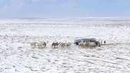 Saudi Arabia Receives Snowfall for First Time in 30 Years, Sub-Zero Mercury Amid Unusual Cold Wave; Here&rsquo;s Why It&rsquo;s Happening
