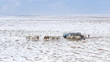 Saudi Arabia Witnesses Rare Snowfall Amid Unseasonal Cold Snap