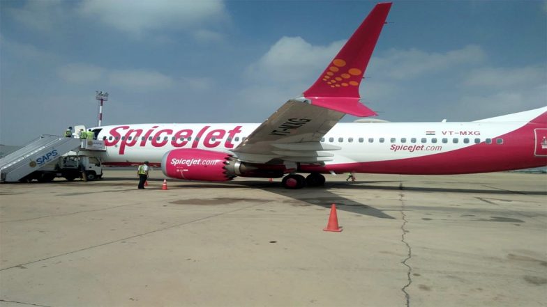 SpiceJet to Add 100 Additional Daily Flights in Winter Schedule Amid IndiGo Disruption