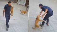 Dog Attack Caught on Camera in Mumbai: Stray Dog Jumps and Bites School Security Guard's Shoulder in Goregaon, Disturbing Video Surfaces Dog Attack Caught on Camera in Mumbai: Stray Dog Jumps and Bites School Security Guard's Shoulder in Goregaon, Disturbing Video Surfaces