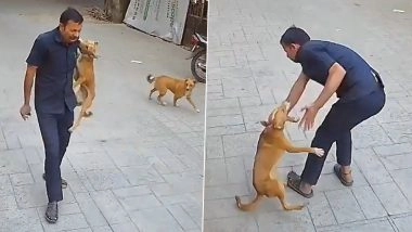 Dog Attack Caught on Camera in Mumbai: Stray Dog Jumps and Bites School Security Guard's Shoulder in Goregaon, Disturbing Video Surfaces