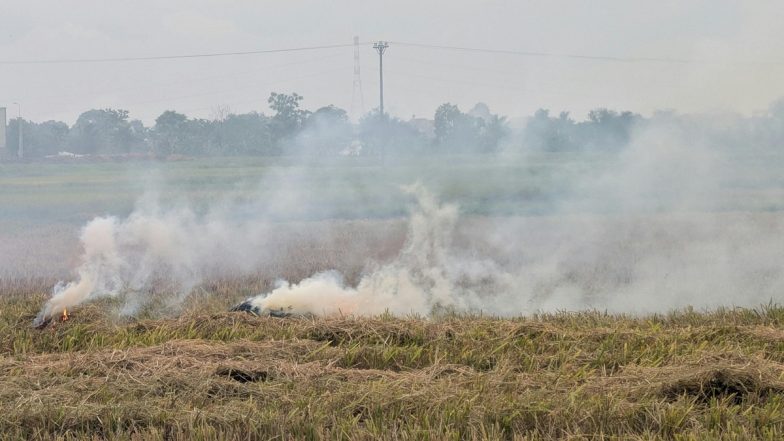 Why Are Farmers Changing Their Stubble Burning Time? NASA Data Reveals a New Strategy To Avoid Satellites