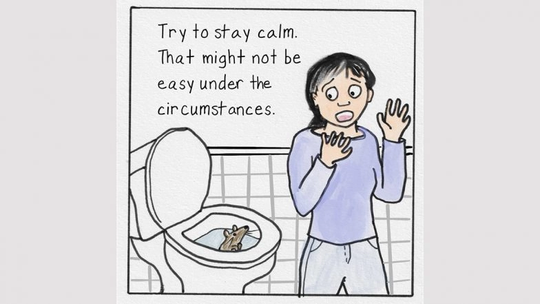 'Flush Rats Down the Toilet': Washington Health Department Releases Cartoon Guide for Rodents Crawling up Toilets During Floods, Internet Reacts to 'Unusual' Instructions