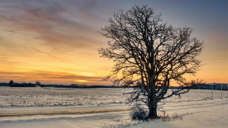 Winter Solstice 2025 Date, Time in India: When Is the Shortest Day and the Longest Night of the Year? Know December Solstice Sunrise and Sunset Timings