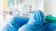 Abhayrab Vaccine Clarification: Indian Immunologicals Refutes Reports, Dismisses Misplaced Australian Advisory Reference on Human Anti-Rabies Vaccine