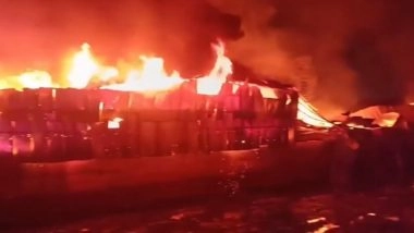 Bhopal Fire: Massive Blaze Erupts at Timber Market in Madhya Pradesh, No Casualties Reported (Watch Videos)