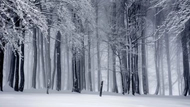 Northern Hemisphere Prepares To Observe Winter Solstice for Shortest Day and Longest Night