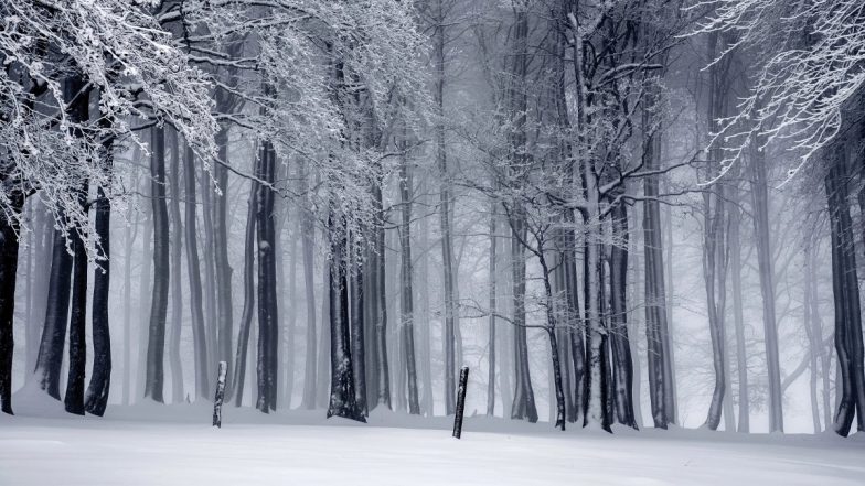 Winter Solstice 2025 Today: Why December 21 Is the Shortest Day and Longest Night of the Year