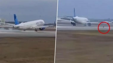 United Airlines Flight 2323 Suffers Mechanical Issue After Landing at Orlando Airport, Video Surfaces