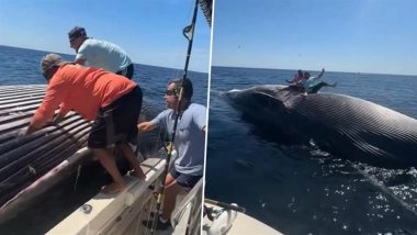 Viral Video: Drunk Fishermen Pose for Photos on Floating Whale Carcass, Clip Surfaces