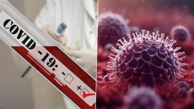 Nipah Virus vs COVID-19: Check Key Differences in Transmission, Symptoms, and Risk