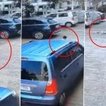 Pune Accident Caught on Camera: 5-Year-Old Boy Dies After Being Run Over By Speeding Car in Joy Nest Society (Watch Video)