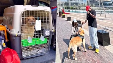 &lsquo;Money is Replaceable, Love Isn&rsquo;t&rsquo;: Indian Couple Spends INR 15 Lakh and 6 Months in Transit to Bring Pet Dog to Australia