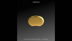 'Wait for the Science': Zomato CEO Deepinder Goyal Rebuts Criticism Over Experimental ‘Temple’ Device