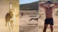 IShowSpeed vs Cheetah Video: YouTube Star Takes On World’s Fastest Animal, Clip Goes Viral IShowSpeed vs Cheetah Video: YouTube Star Takes On World’s Fastest Animal, Clip Goes Viral