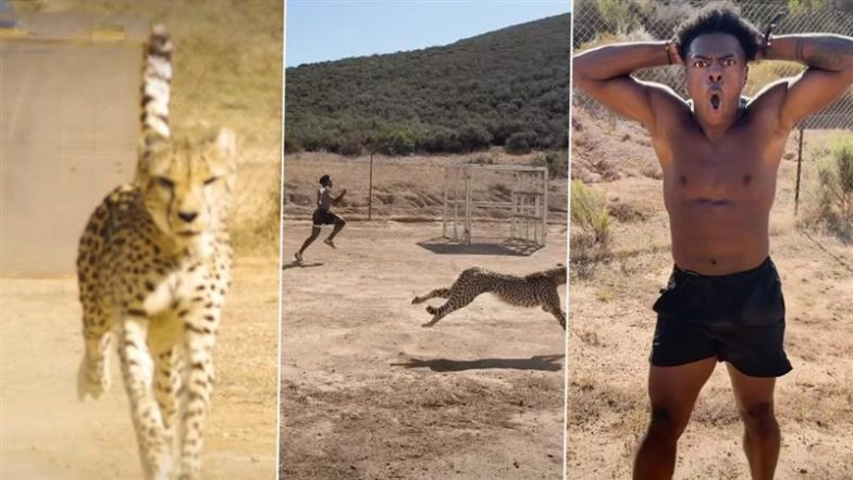 IShowSpeed vs Cheetah Video: YouTube Star Takes On World’s Fastest Animal, Clip Goes Viral