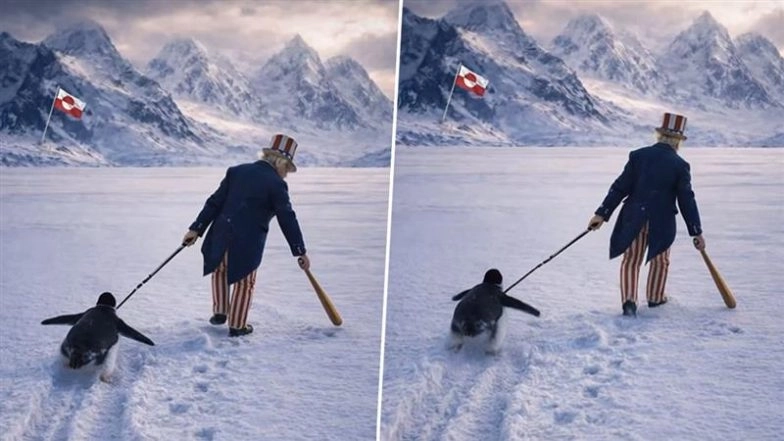 Donald Trump ‘Embrace the Penguin’ Meme: China Trolls White House’s Geographical Blunder Amid Greenland Push
