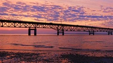 Chhattisgarh Bridge Theft: 40-Year-Old 10-Tonne Steel Bridge Stolen Overnight in Korba, 5 Arrested