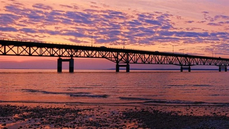 Chhattisgarh Bridge Theft: 40-Year-Old 10-Tonne Steel Bridge Stolen Overnight in Korba, 5 Arrested