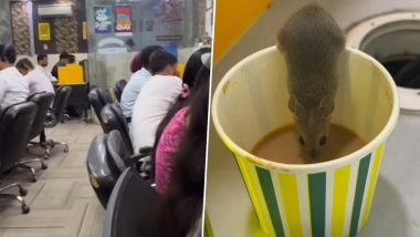 Viral Video Shows Rat Drinking Tea at Corporate Office, Clip Surfaces