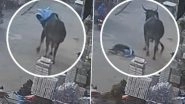 Bull Attack in Shamli: Woman Injured After Stray Cattle Attacks Her in Uttar Pradesh, video Surfaces