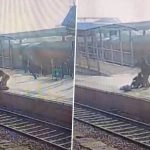 Heroic Rescue in Jalaun: GRP Head Constable Pulls Passenger From Tracks Seconds Before Impact at Orai Railway Station in Uttar Pradesh, Video Surfaces