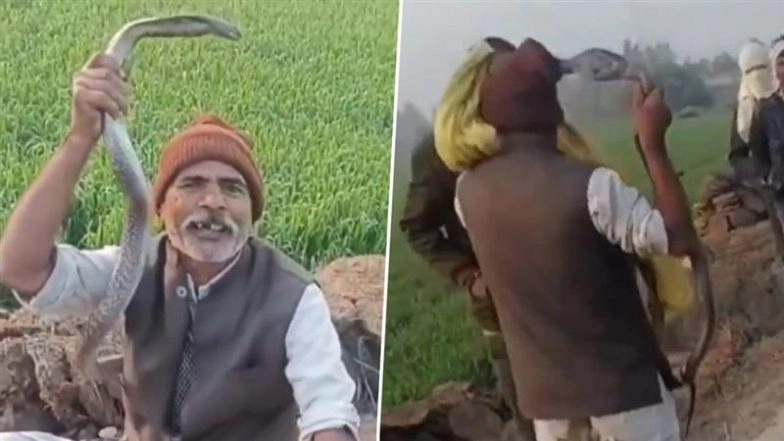 ‘Aisa Koi Veer Hai Duniya Mein’: Man Shows Off After Catching Cobra in UP’s Rampur, Suffers Multiple Bites, Dies During Treatment (Video)