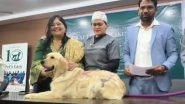 Fish Skin Miracle: Tilapia Graft Saves Hyderabad Dog Who Lost Half Its Skin to Sepsis (Watch Video) Fish Skin Miracle: Tilapia Graft Saves Hyderabad Dog Who Lost Half Its Skin to Sepsis (Watch Video)