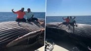Drunk Fishermen Pose for Photos on Dead Whale, Viral Video Sparks Outrage