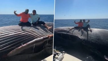 Drunk Fishermen Pose for Photos on Dead Whale, Viral Video Sparks Outrage