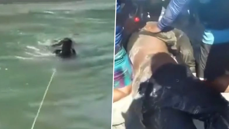 Rishikesh: Rafting Guides Rescue Drowning Tourist From Ganga River in Uttarakhand, Save Life by Giving CPR (Watch Video)