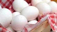 Egg Prices Reach Record Highs in India Amid Winter Demand Surge: How Much Are Consumers Paying Per Egg? Egg Prices Reach Record Highs in India Amid Winter Demand Surge: How Much Are Consumers Paying Per Egg?