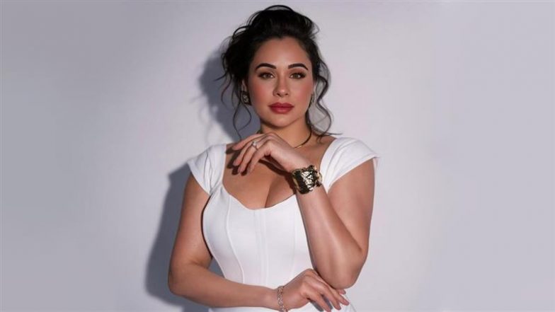 Punjabi Actress Mandy Takhar Files for Mutual Divorce With Husband Shekhar Kaushal