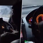 ‘Allah Ke Wastay Bachalo’: Chilling Video Shows Car in Udaipur Hitting 120 Kmph Before Fatal Accident That Killed 4 Friends