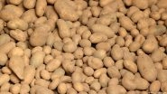 4 Million Kilos of Potatoes Given Away for Free in Berlin