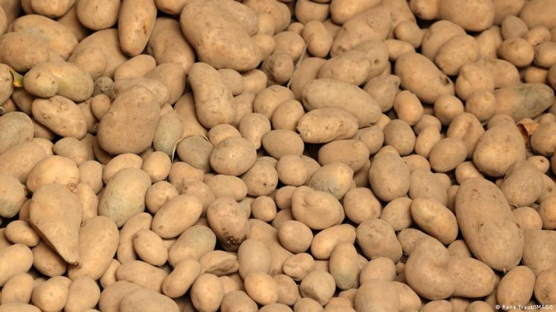 4 Million Kilos of Potatoes Given Away for Free in Berlin