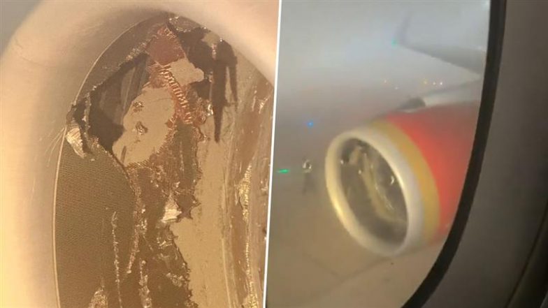 Air India Delhi-New York Flight AI101 Engine Sucks In Baggage Container, Damaged (Watch Video)