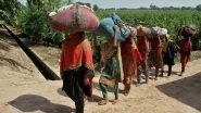 World News | Agriculture in Crisis as Policy Failures and Climate Shocks Batter Pakistan