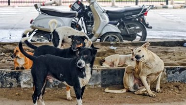 India News | Delhi Police Registers FIR over Fake News of Teachers Told to Count Stray Dogs