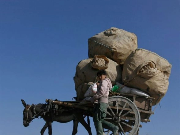 World News | Pakistan's Border Mismanagement Bleeds Economy as Balochistan-Afghan Trade Remains Frozen